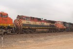 BCOL 4642